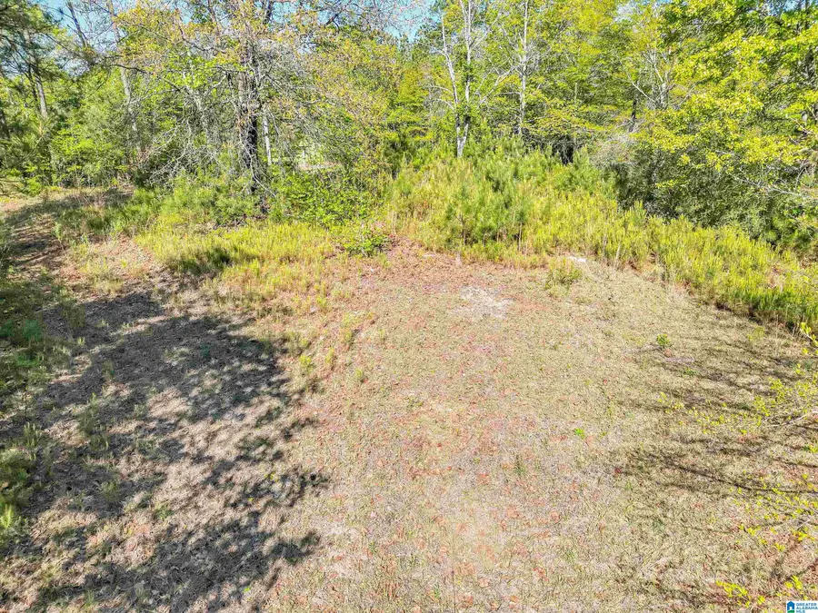 2755 COUNTY ROAD 53, Billingsley, AL 36006 - #3