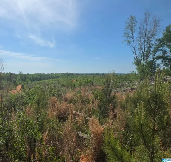Tract 8 COUNTY ROAD 256, Wedowee, AL 36278