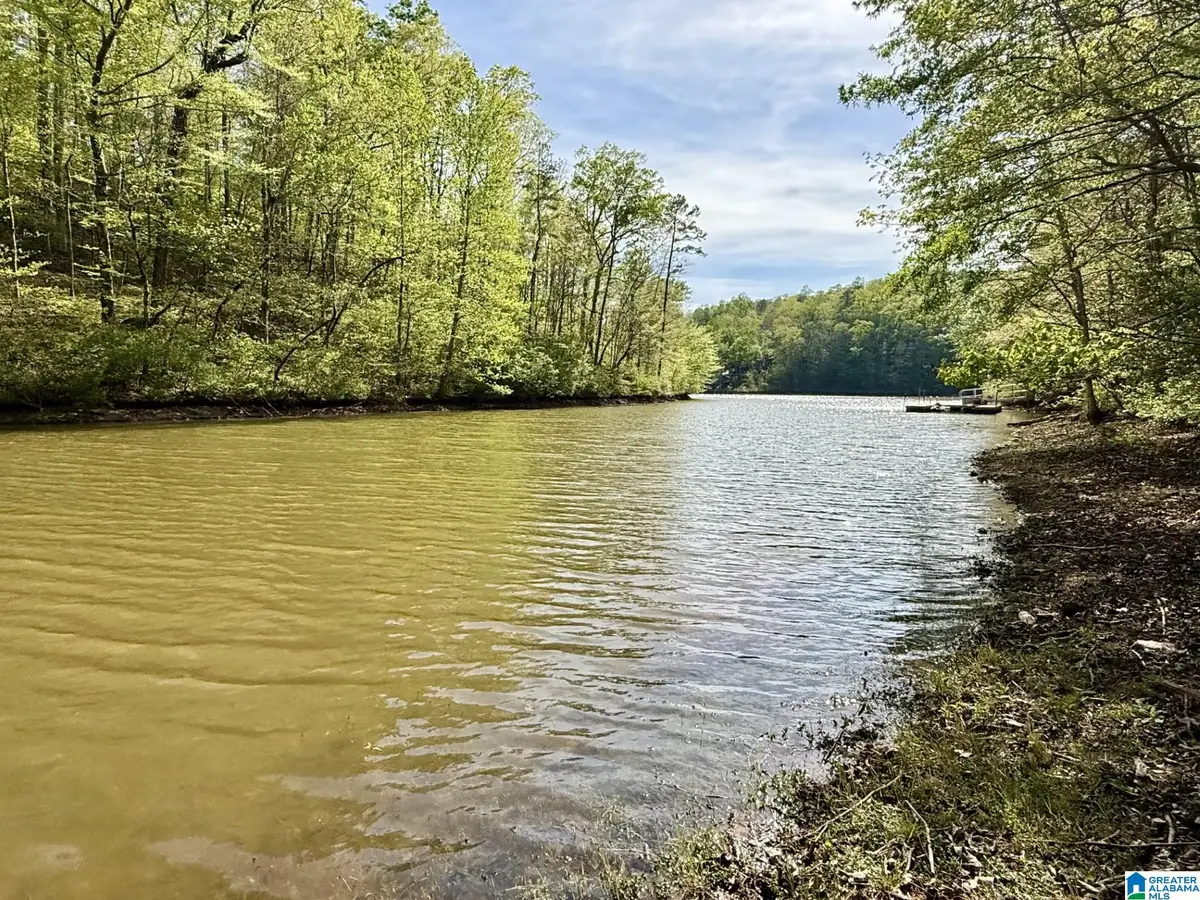0 SOUTH SHORE DRIVE, Wedowee, AL 36278 - #1