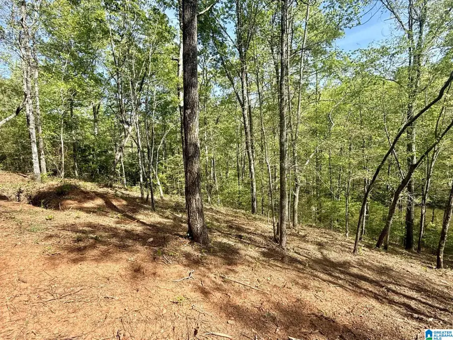 0 SOUTH SHORE DRIVE, Wedowee, AL 36278 - #2