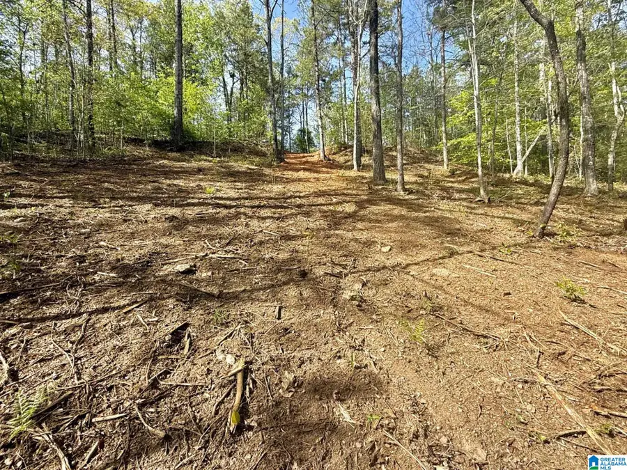 0 SOUTH SHORE DRIVE, Wedowee, AL 36278 - #3