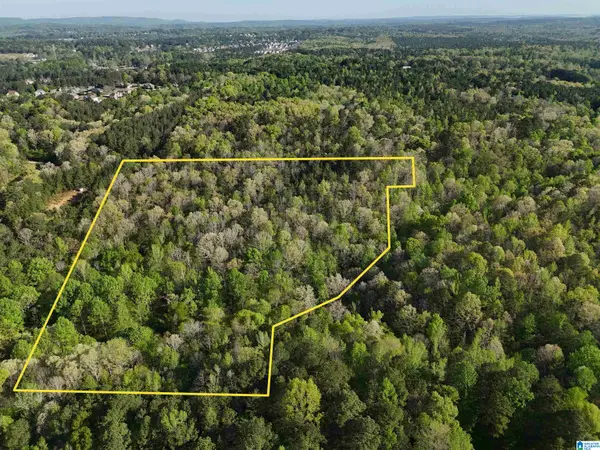 Off of MAGNOLIA CREST WAY, Odenville, AL 35120