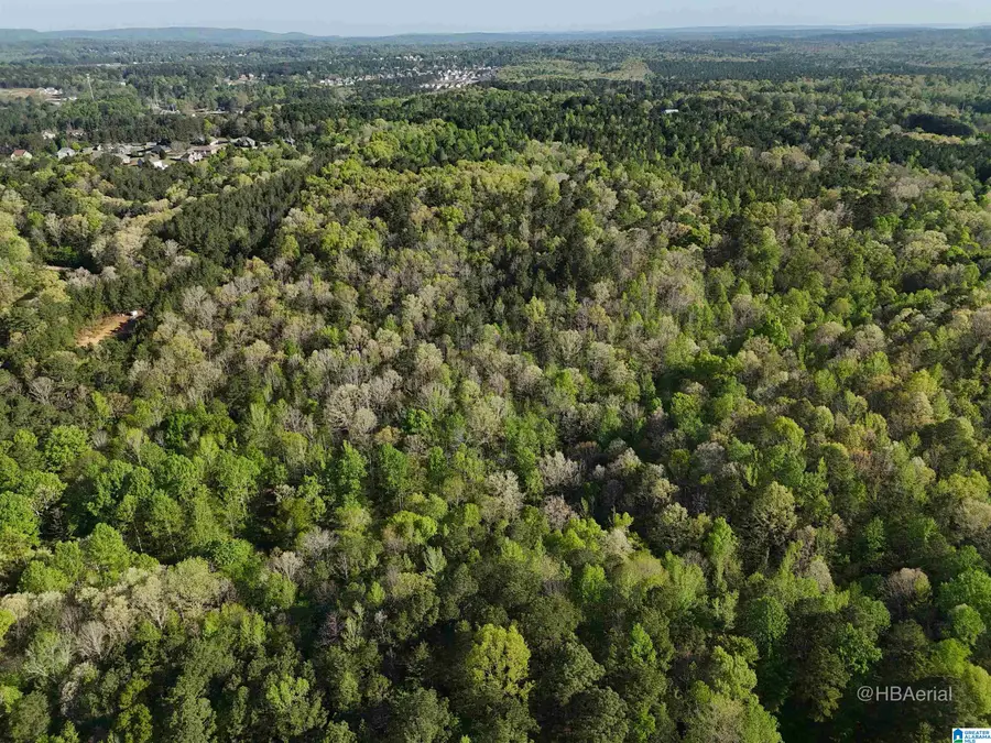 Off of MAGNOLIA CREST WAY, Odenville, AL 35120 - #3