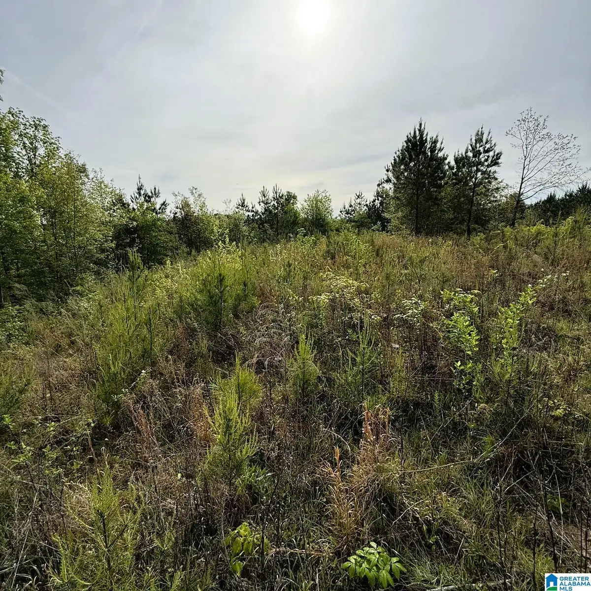 1154 KNOPF DRIVE, Warrior, AL 35180 - #1