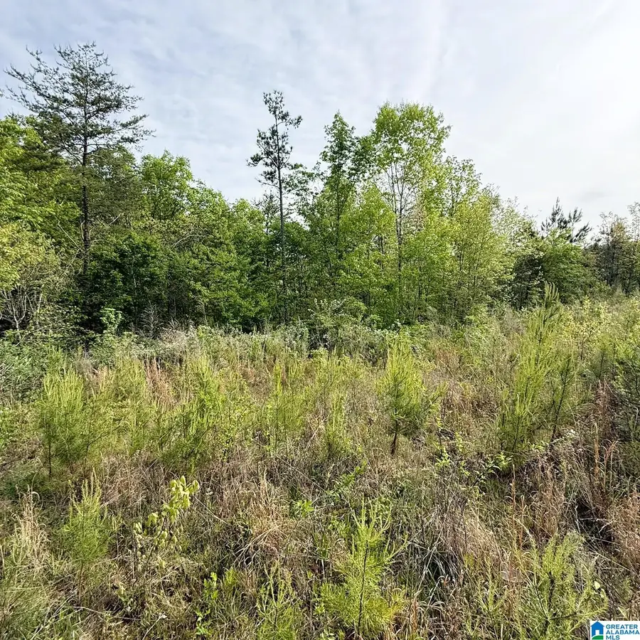 1154 KNOPF DRIVE, Warrior, AL 35180 - #2