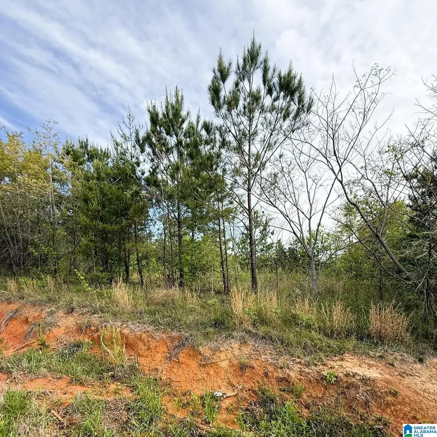 1154 KNOPF DRIVE, Warrior, AL 35180 - #3