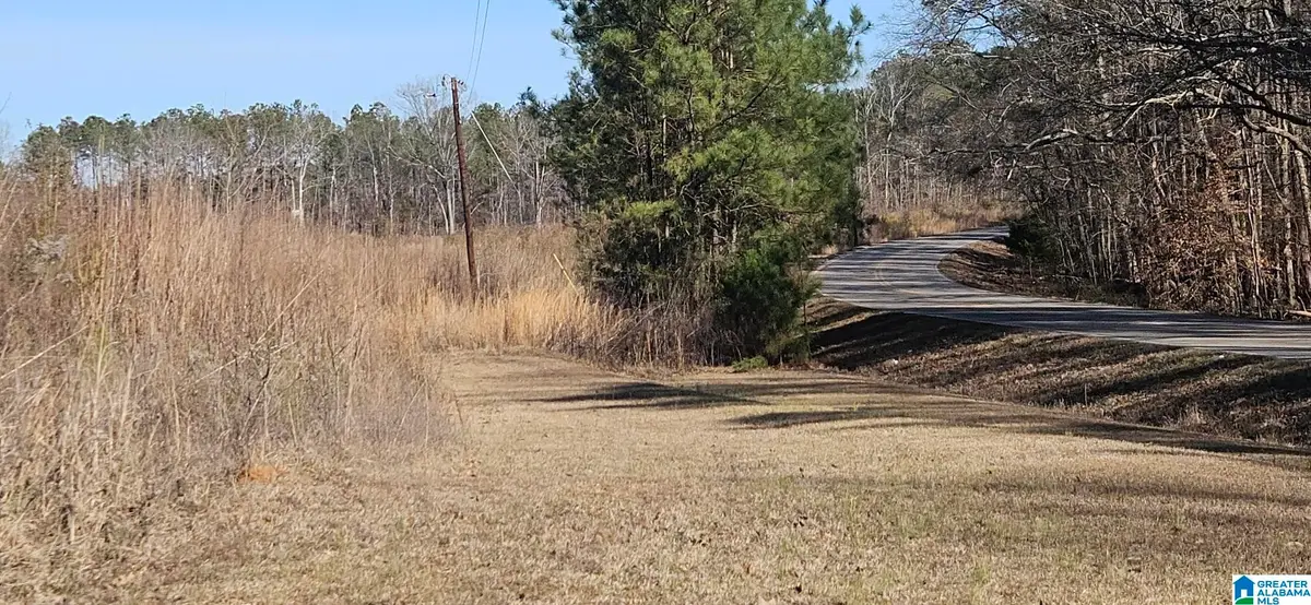 0 Lot 1 COUNTY ROAD 36, Randolph, AL 36792 - #1