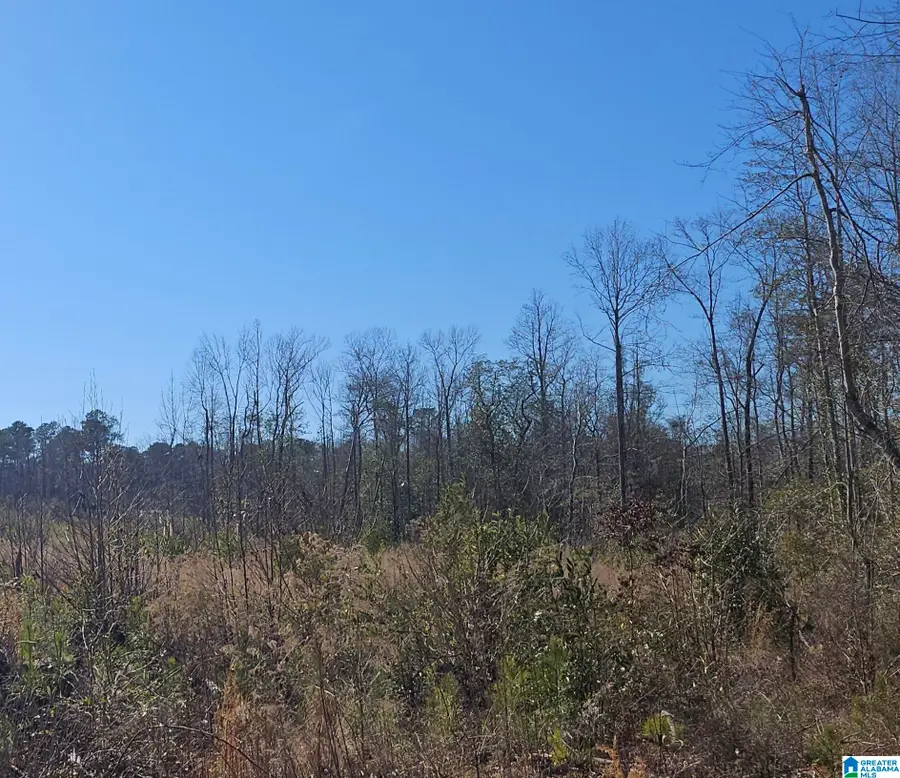 0 Lot 1 COUNTY ROAD 36, Randolph, AL 36792 - #2