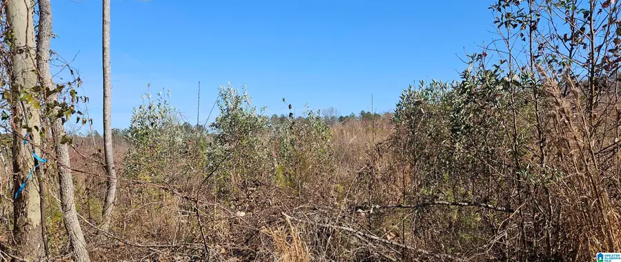 0 Lot 1 COUNTY ROAD 36, Randolph, AL 36792 - #3