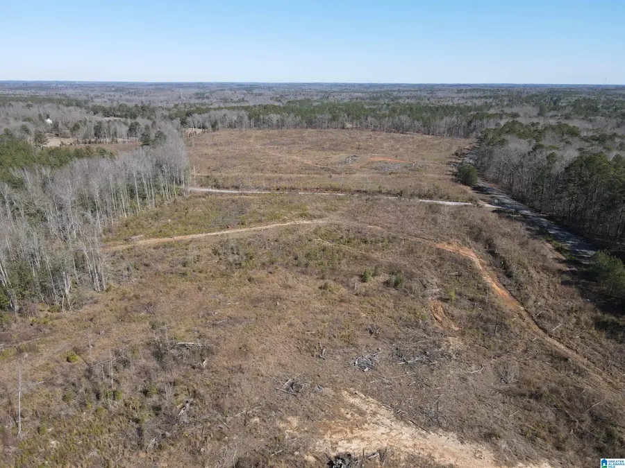 0 COUNTY ROAD 36, Randolph, AL 36792 - #2