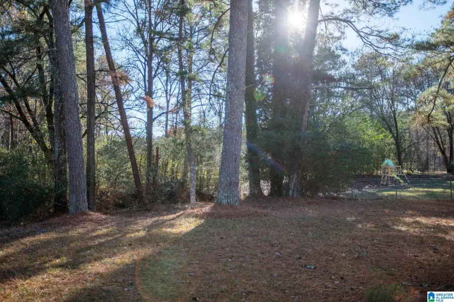 6245 CLAY PALMERDALE ROAD, Pinson, AL 35126 - #2