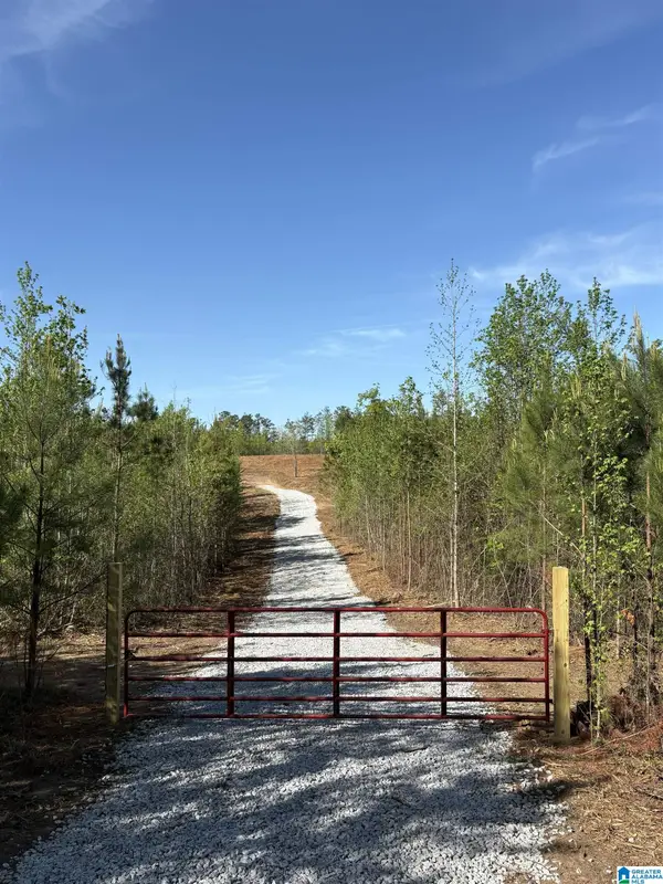 Parcel #1 OLD HIGHWAY 431, Wedowee, AL 36278