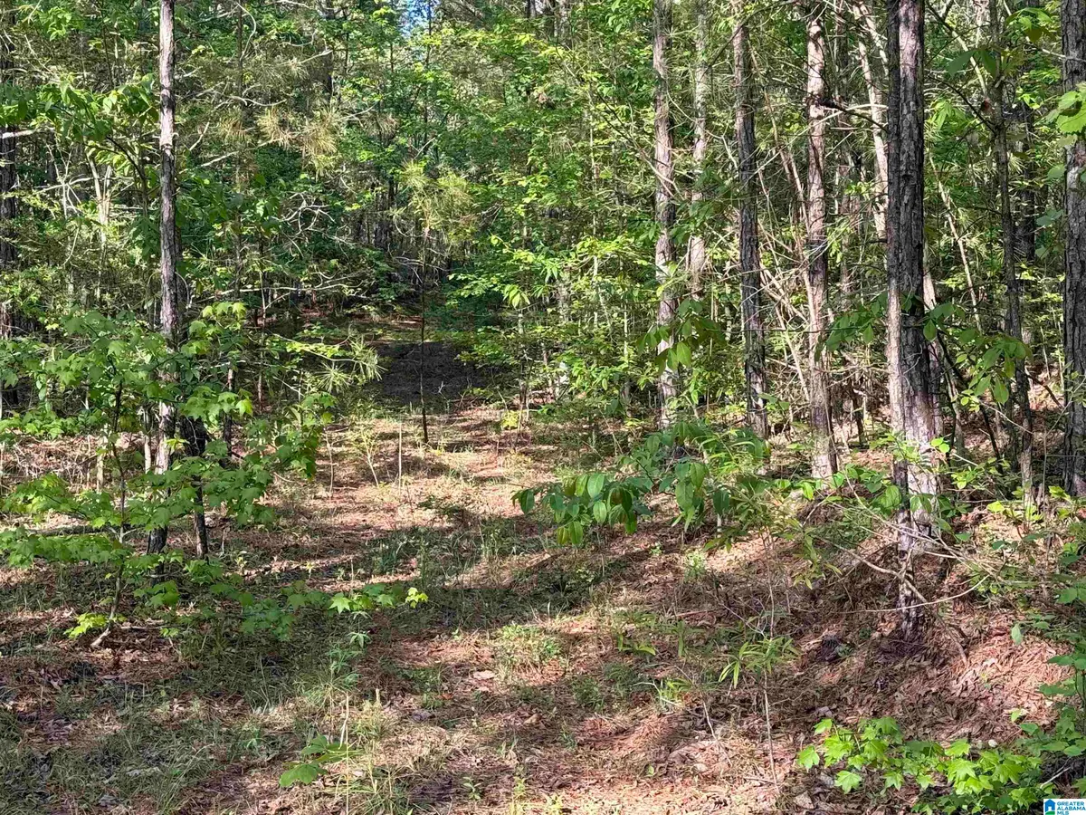 0 PINEY WOODS ROAD, Vincent, AL 35178 - #1