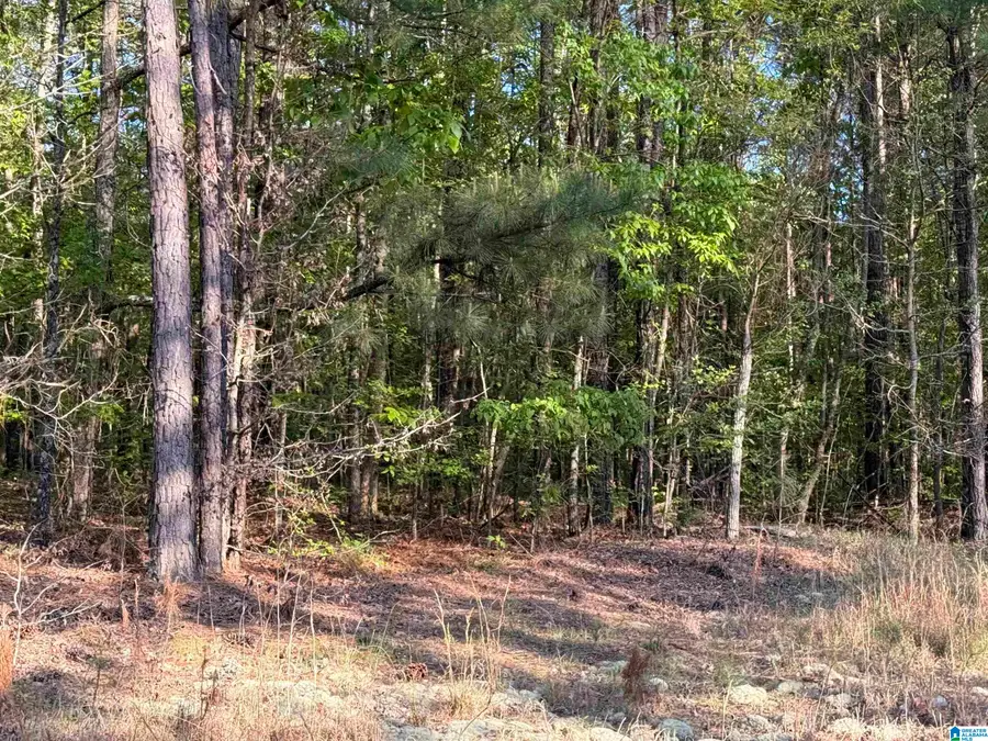 0 PINEY WOODS ROAD, Vincent, AL 35178 - #2