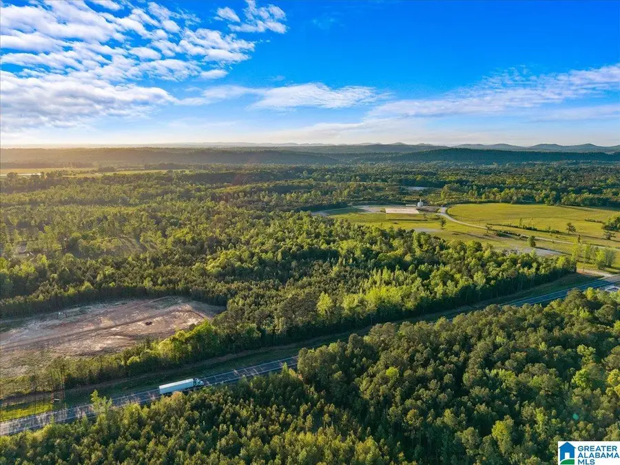 42 acres ALABAMA HIGHWAY 77, Ohatchee, AL 36271 - #3