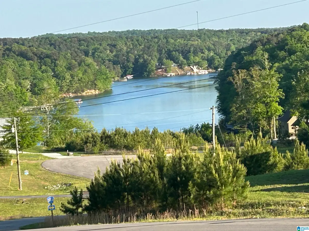 00 COUNTY ROAD 367, Crane Hill, AL 35053 - #1