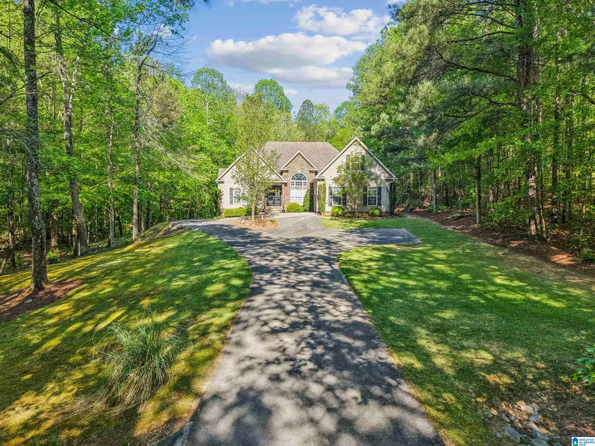 910 TWIN BLUFFS DRIVE, Springville, AL 35120 - #1