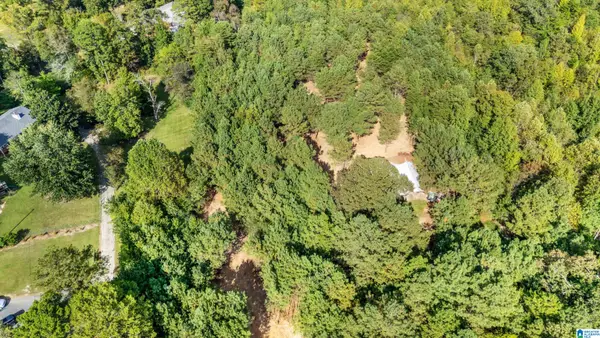 0 RED VALLEY ROAD, Remlap, AL 35133