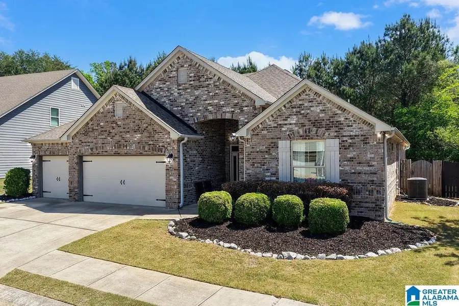 181 CHELSEA STATION DRIVE, Chelsea, AL 35043 - #3