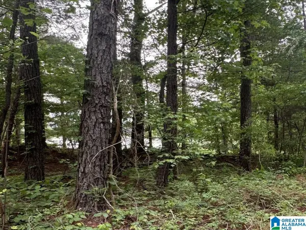 000 COUNTY ROAD 400, Shelby, AL 35143