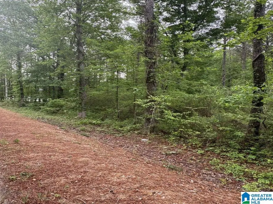 000 COUNTY ROAD 400, Shelby, AL 35143 - #3