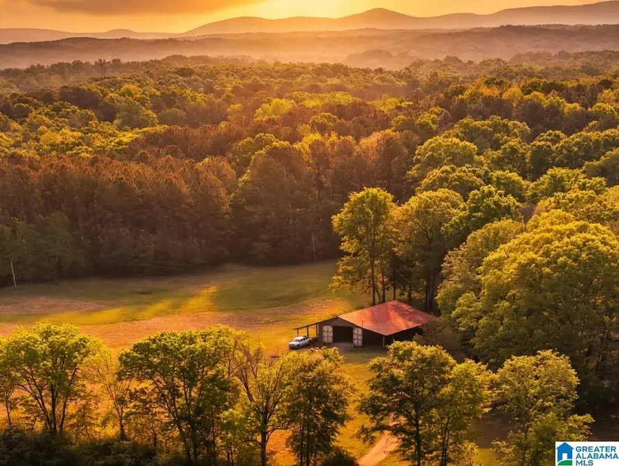 325 GRIZZLE LANE, Talladega, AL 35160 - #3