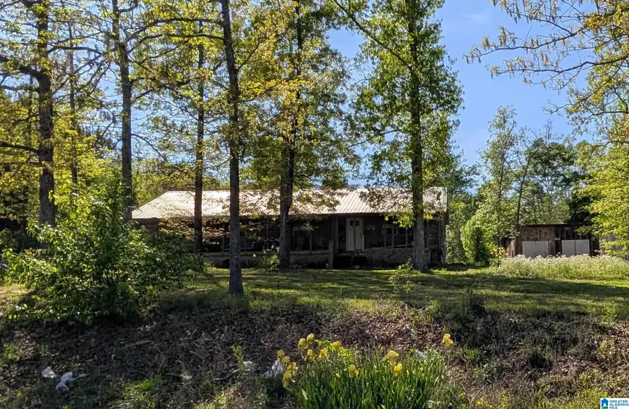 2091 COUNTY ROAD 19, Piedmont, AL 36272 - #3