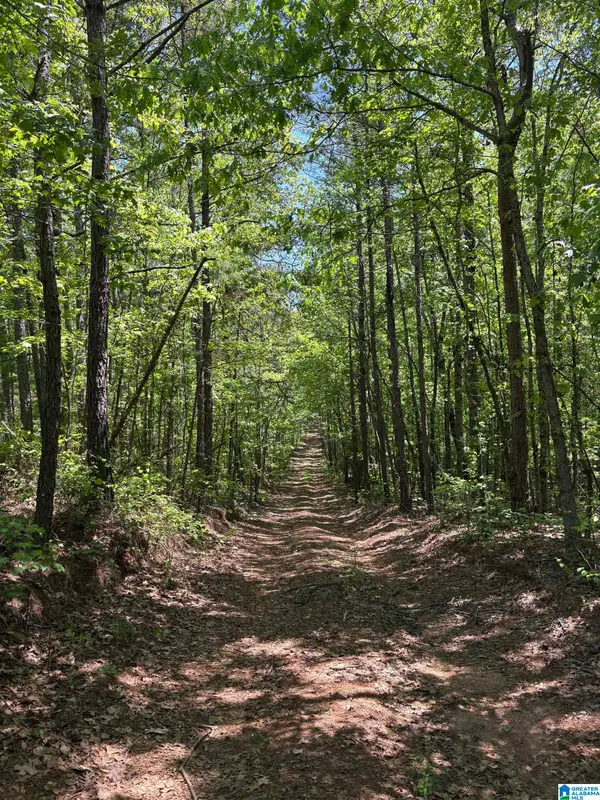 0 COUNTY ROAD 26, Wadley, AL 36276