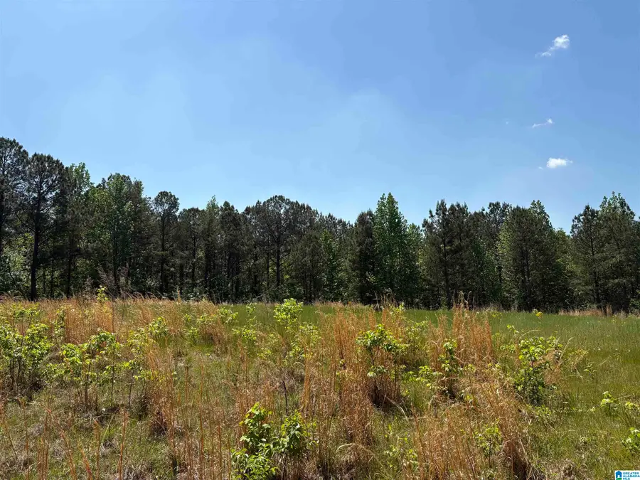 0 COUNTY ROAD 26, Wadley, AL 36276 - #2