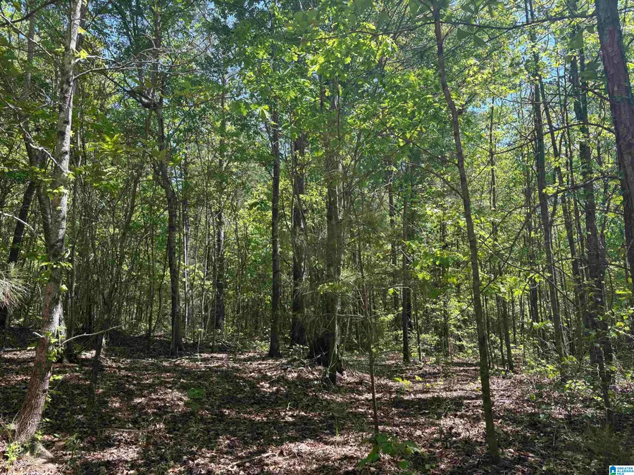 0 COUNTY ROAD 26, Wadley, AL 36276 - #3