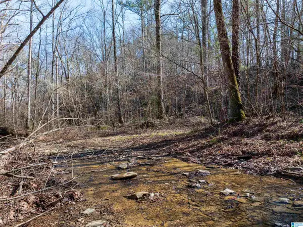 0 RED HILL ROAD, Oakman, AL 35579