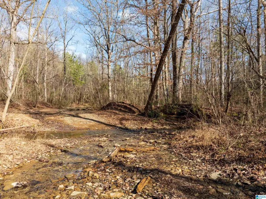 0 RED HILL ROAD, Oakman, AL 35579 - #2