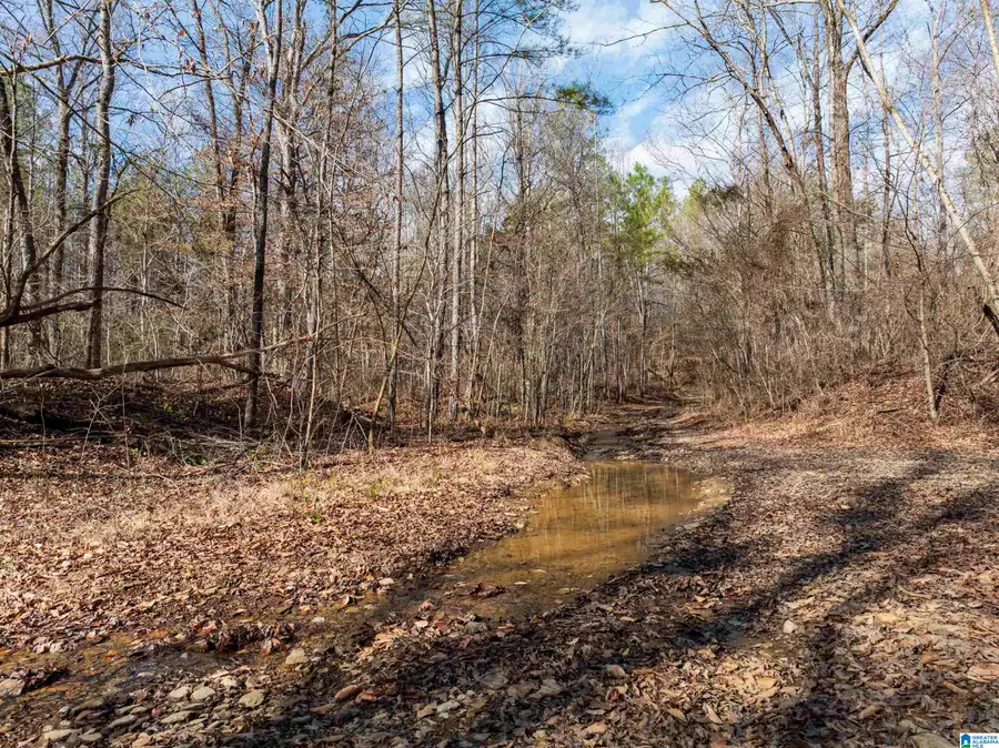 0 RED HILL ROAD, Oakman, AL 35579 - #3