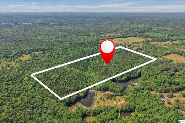 0 LOVELADY LANE, Lawley, AL 36793