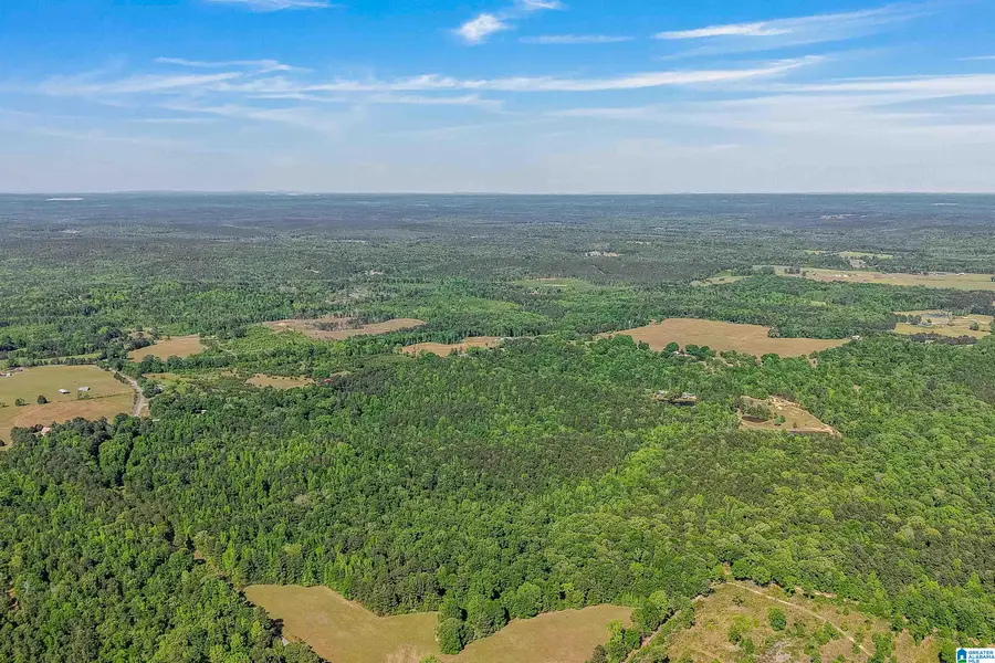 0 LOVELADY LANE, Lawley, AL 36793 - #2