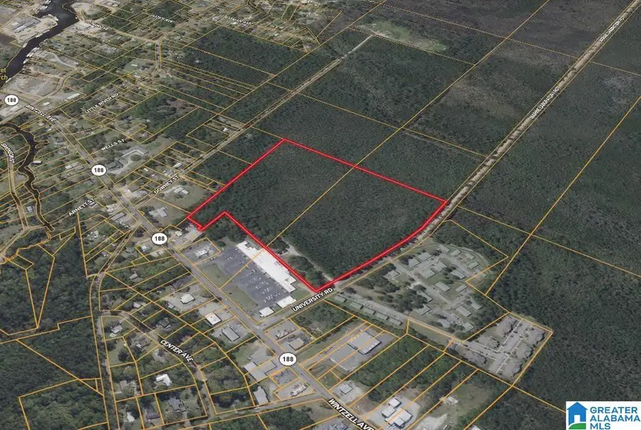 8701 UNIVERSITY ROAD, Bayou La Batre, AL 36509 - #3
