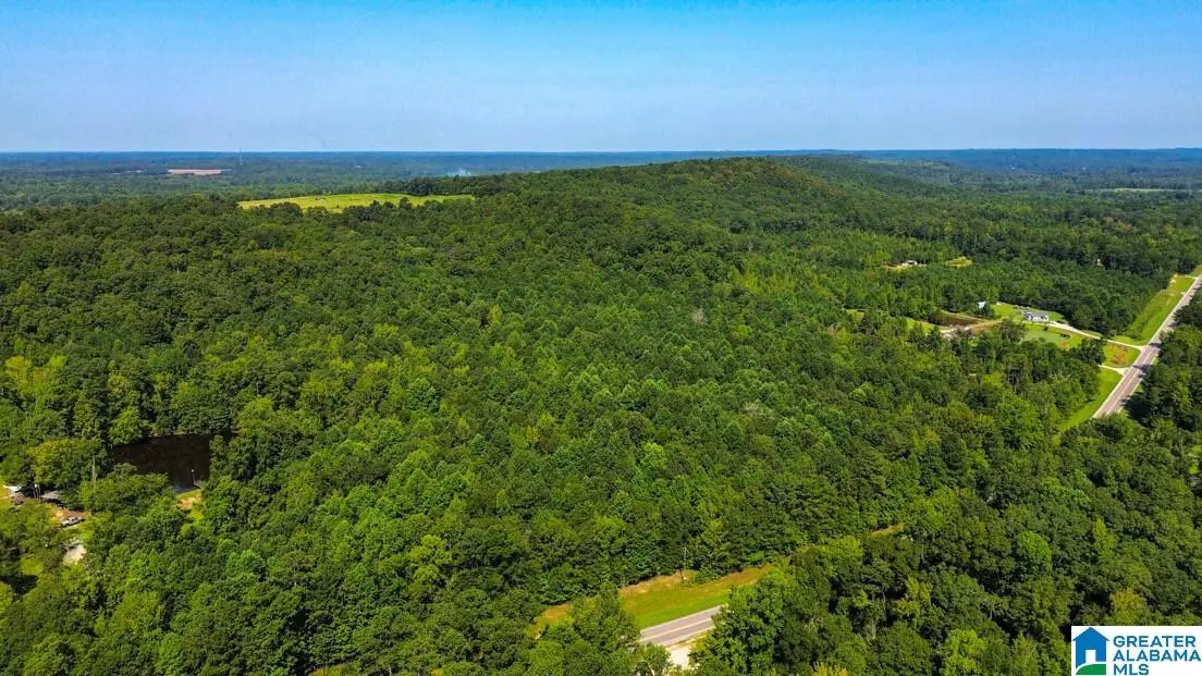 0 HIGHWAY 145, Clanton, AL 35046 - #1