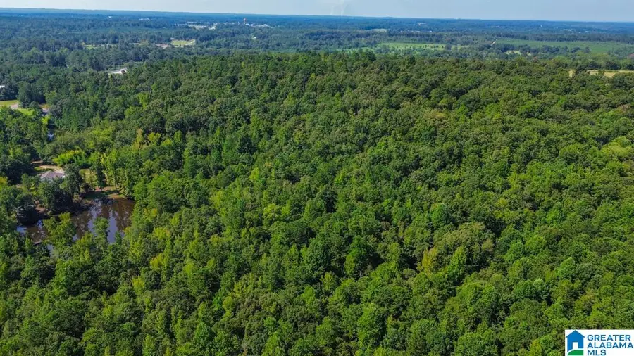0 HIGHWAY 145, Clanton, AL 35046 - #3