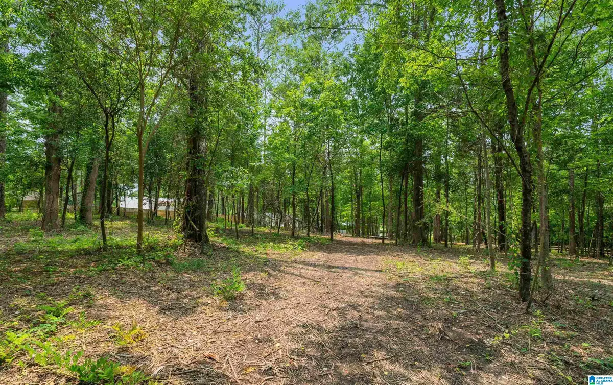 3420 PRIMM LANE, Hoover, AL 35216 - #1