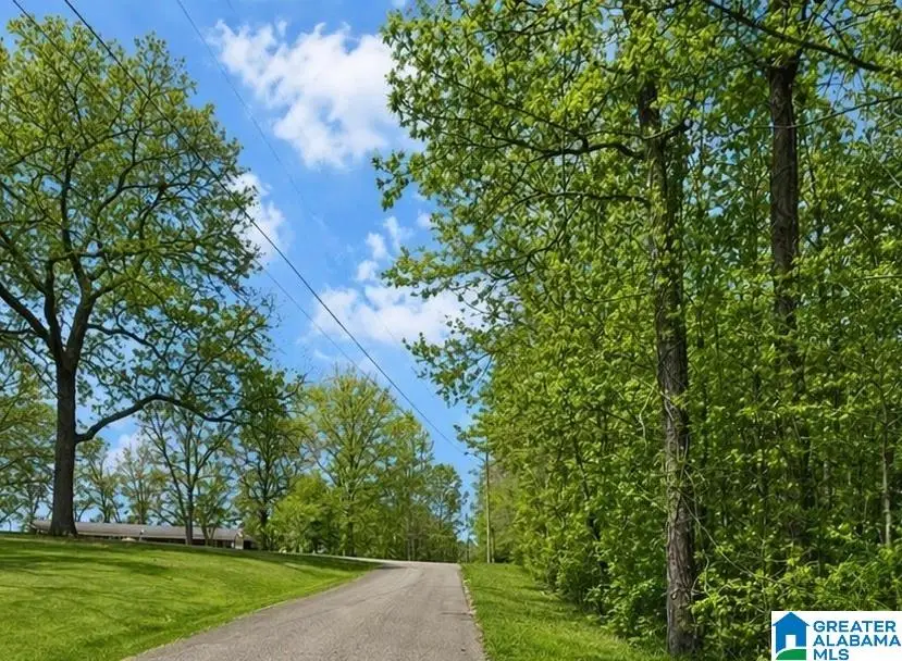 0 SHAMROCK LANE, Piedmont, AL 36272 - #2