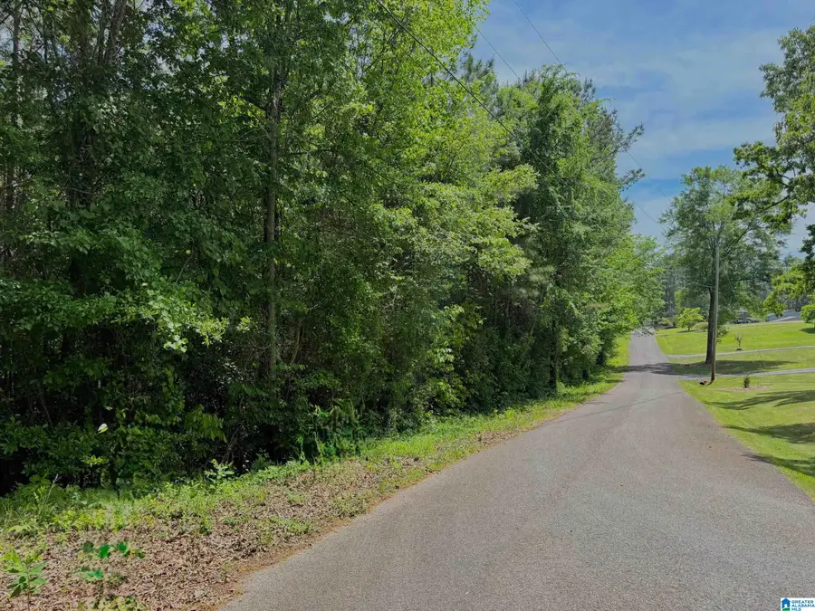 0 SHAMROCK LANE, Piedmont, AL 36272 - #3