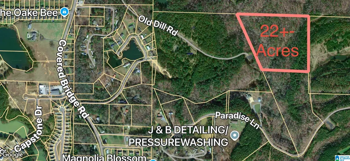 123 PARADISE LANE, Brookwood, AL 35444 - #1
