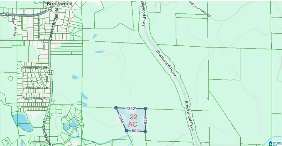 123 PARADISE LANE, Brookwood, AL 35444 - #3