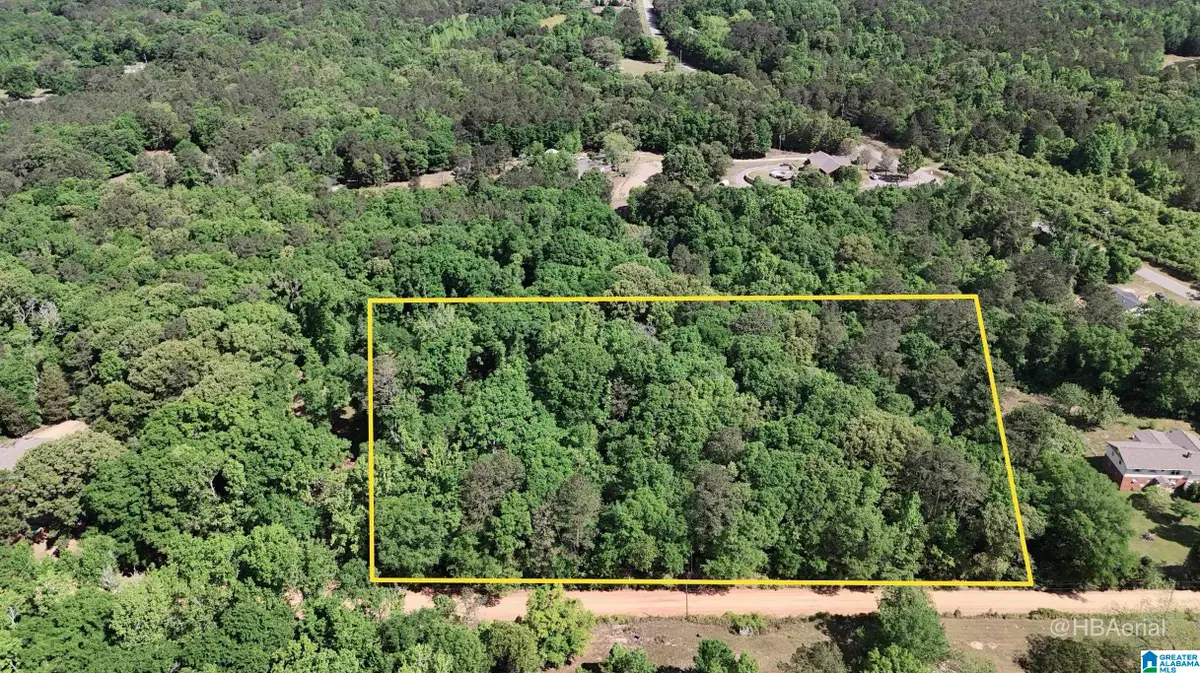 BLUEBERRY ROAD, Seale, AL 36875 - #1