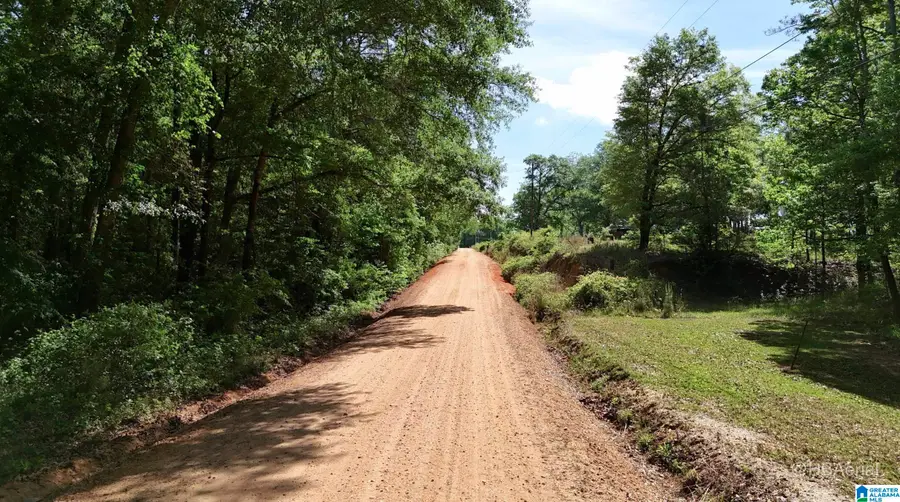 BLUEBERRY ROAD, Seale, AL 36875 - #2