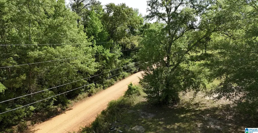 BLUEBERRY ROAD, Seale, AL 36875 - #3