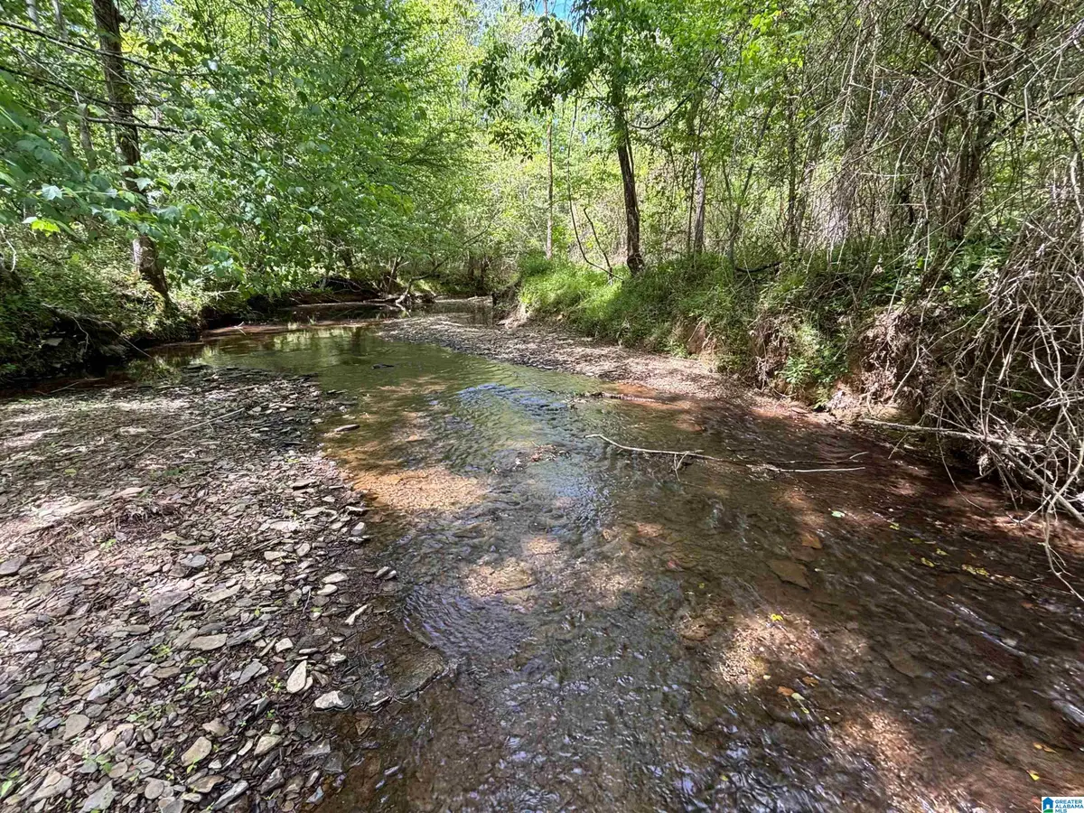 498 BLACKWOOD ROAD, Parrish, AL 35580 - #1