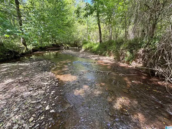 498 BLACKWOOD ROAD, Parrish, AL 35580