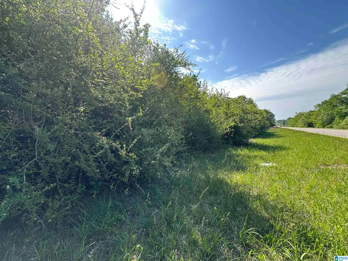 13181 E CAPITOL DRIVE, Lawley, AL 36793 - #1