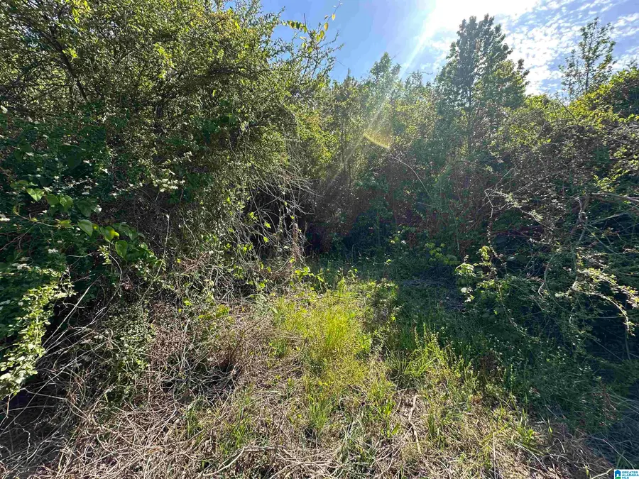 13181 E CAPITOL DRIVE, Lawley, AL 36793 - #2